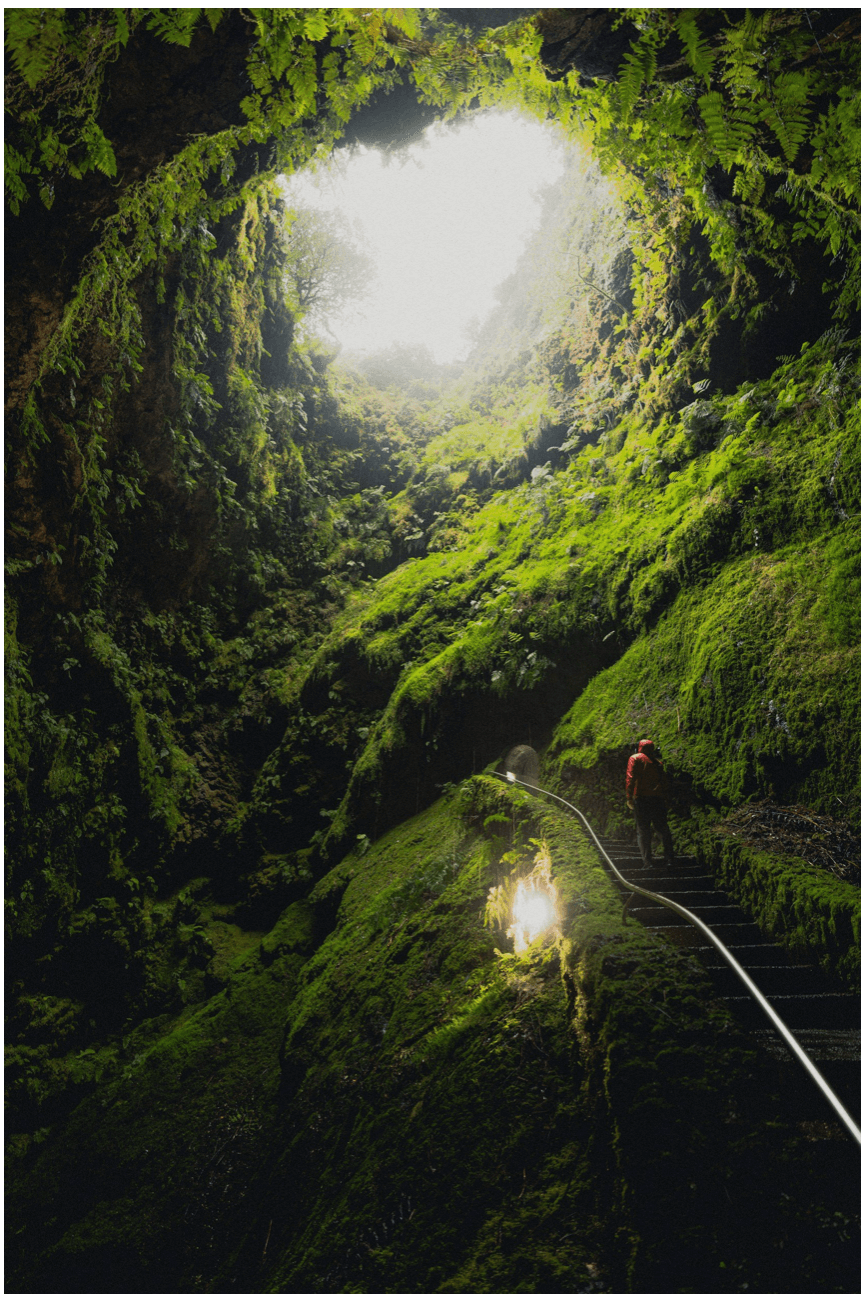 A person hiking in a lush green cave, exploring the beauty of nature.