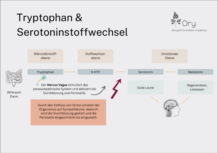 Wenn dein inneres Orchester aus dem Takt gerät – was der Neurotransmitter-Plus-Test über Stimmung, Energie & Balance verrät
