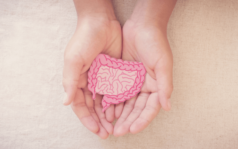 Darm-Mikrobiom Check-up - ORY Analysis