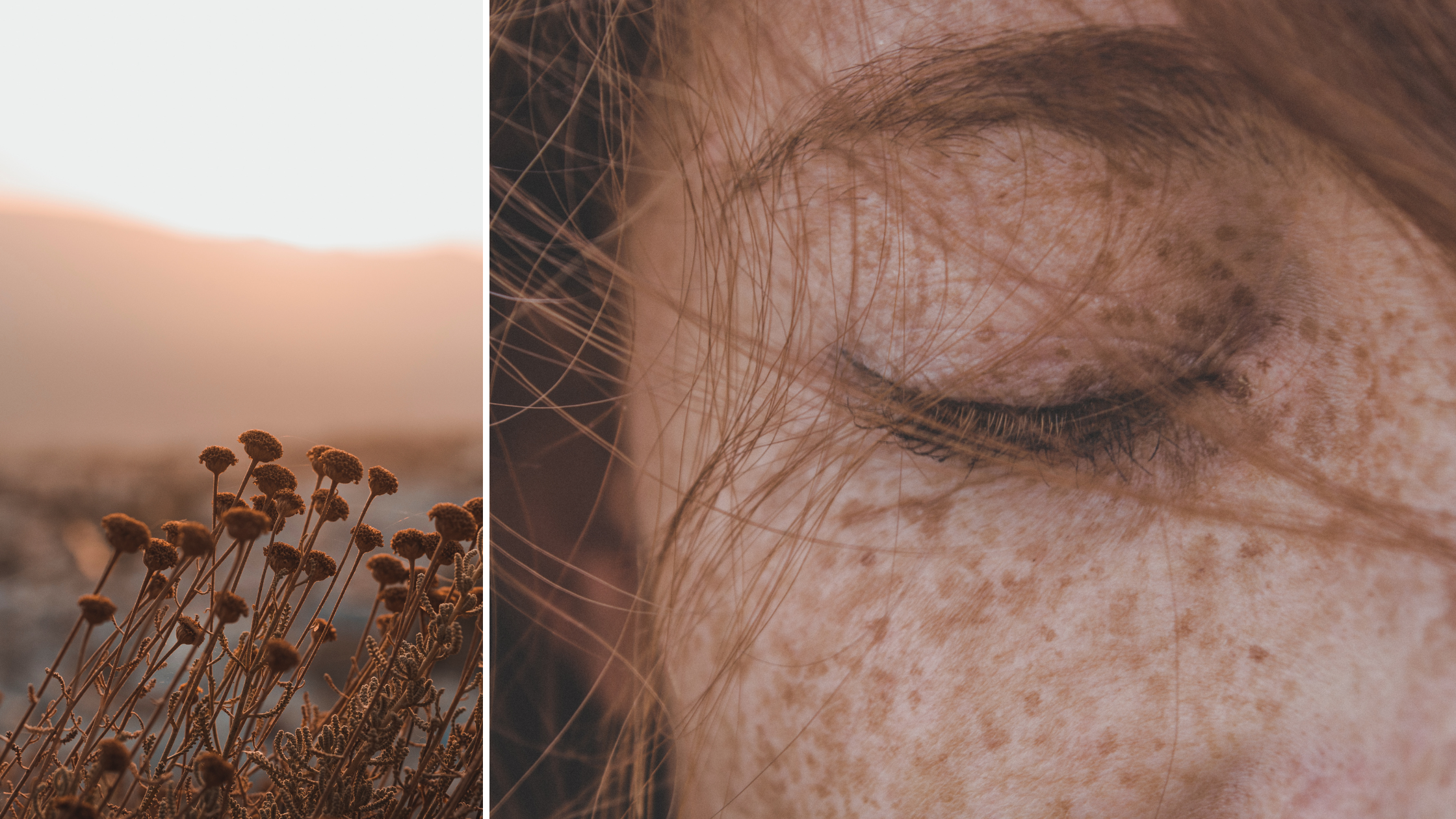 Hautgesundheit - ORY Analysis