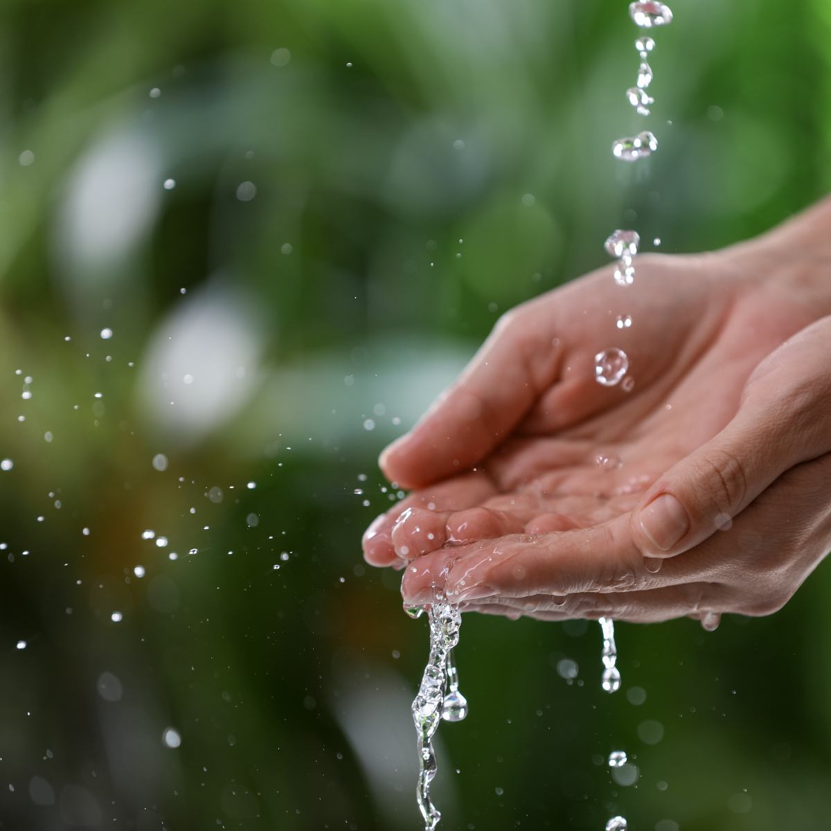 Kupfer -wasserflasche poliert