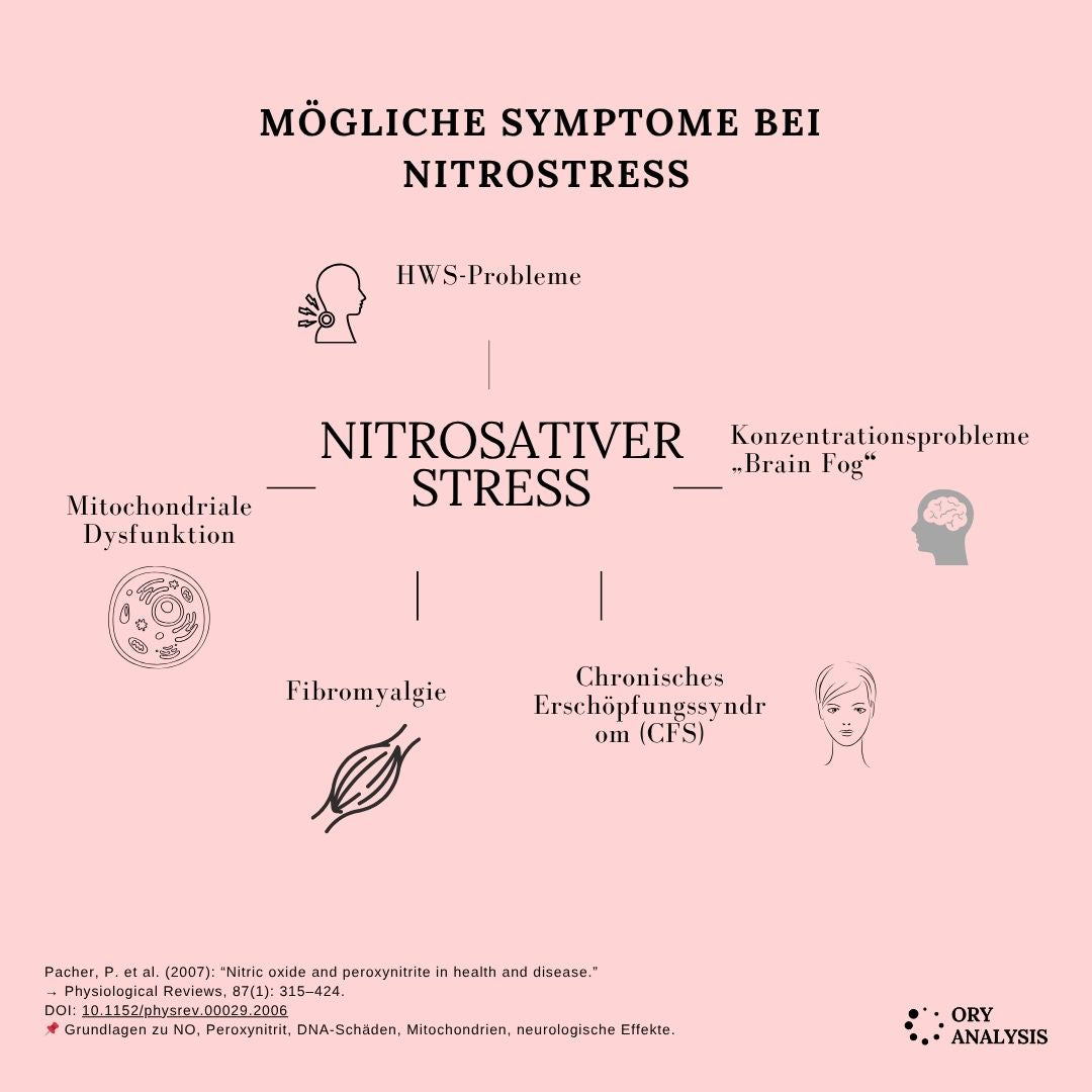 Nitrostress - Nitrosative stress