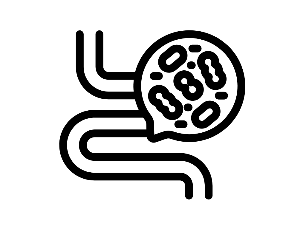 Basisprofil Darm