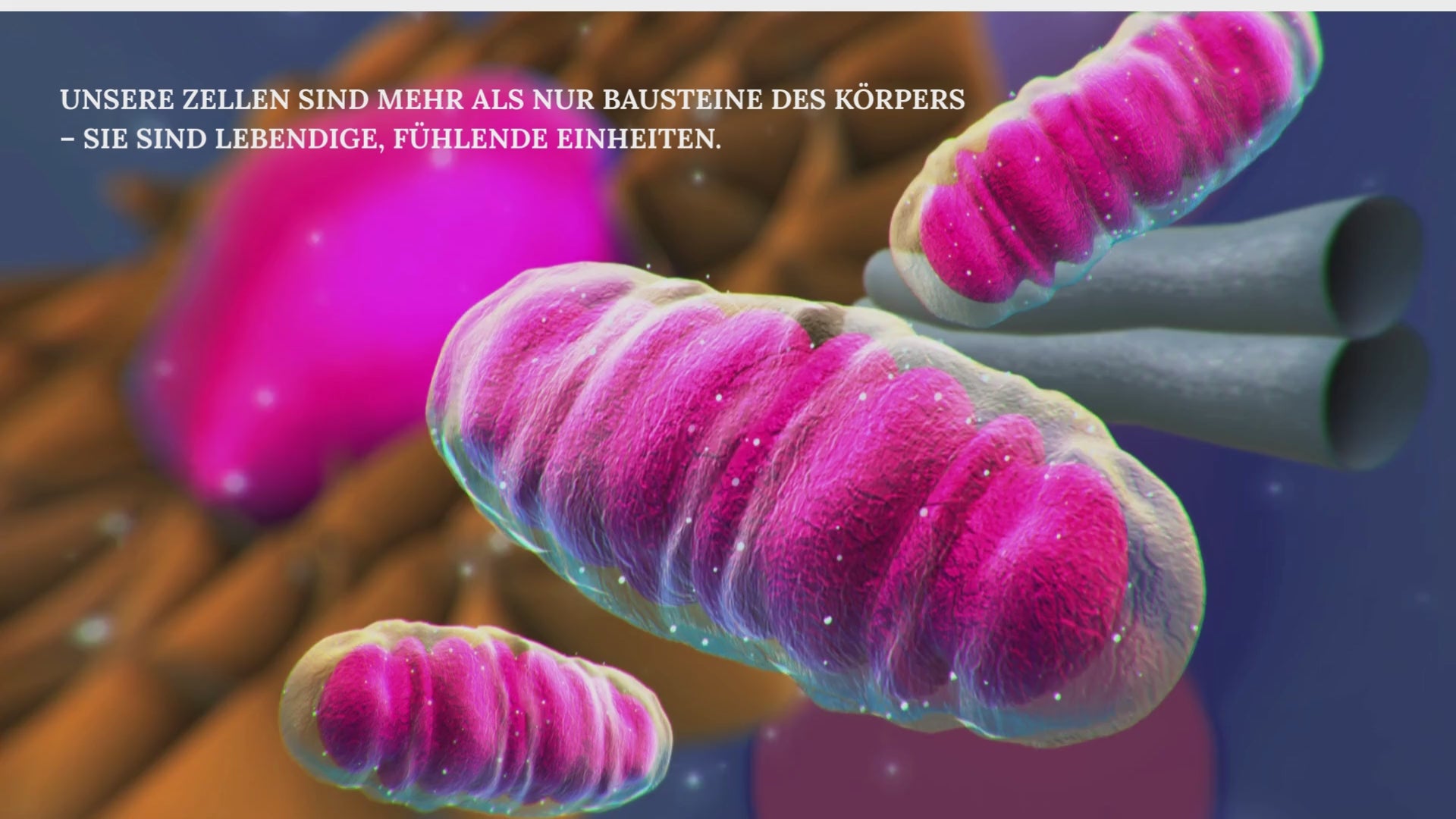 Video laden: