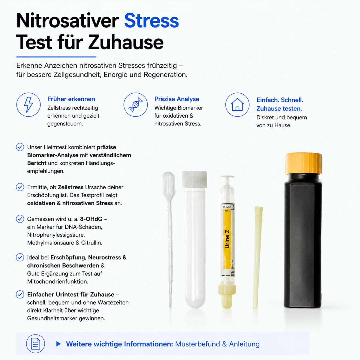 Nitrosativer Stress – Zellstressprofil – Abbildung 1 von 3