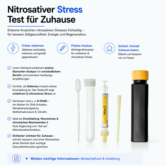 Nitrosativer Stress – Zellstressprofil – Abbildung 1 von 3