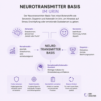 Neurotransmitter Basis