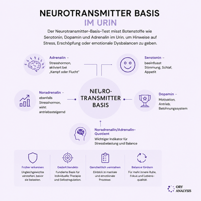 neurotransmitter basis