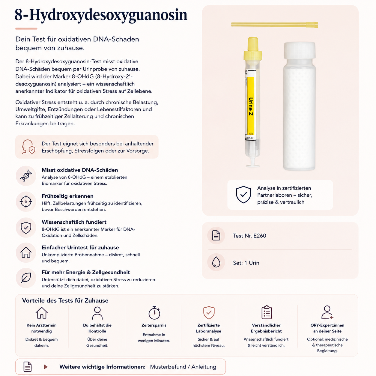 8-Hydroxydesoxyguanosin