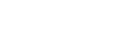 Text logo for Fountain of Youth, representing natürliches Kokoswasser.