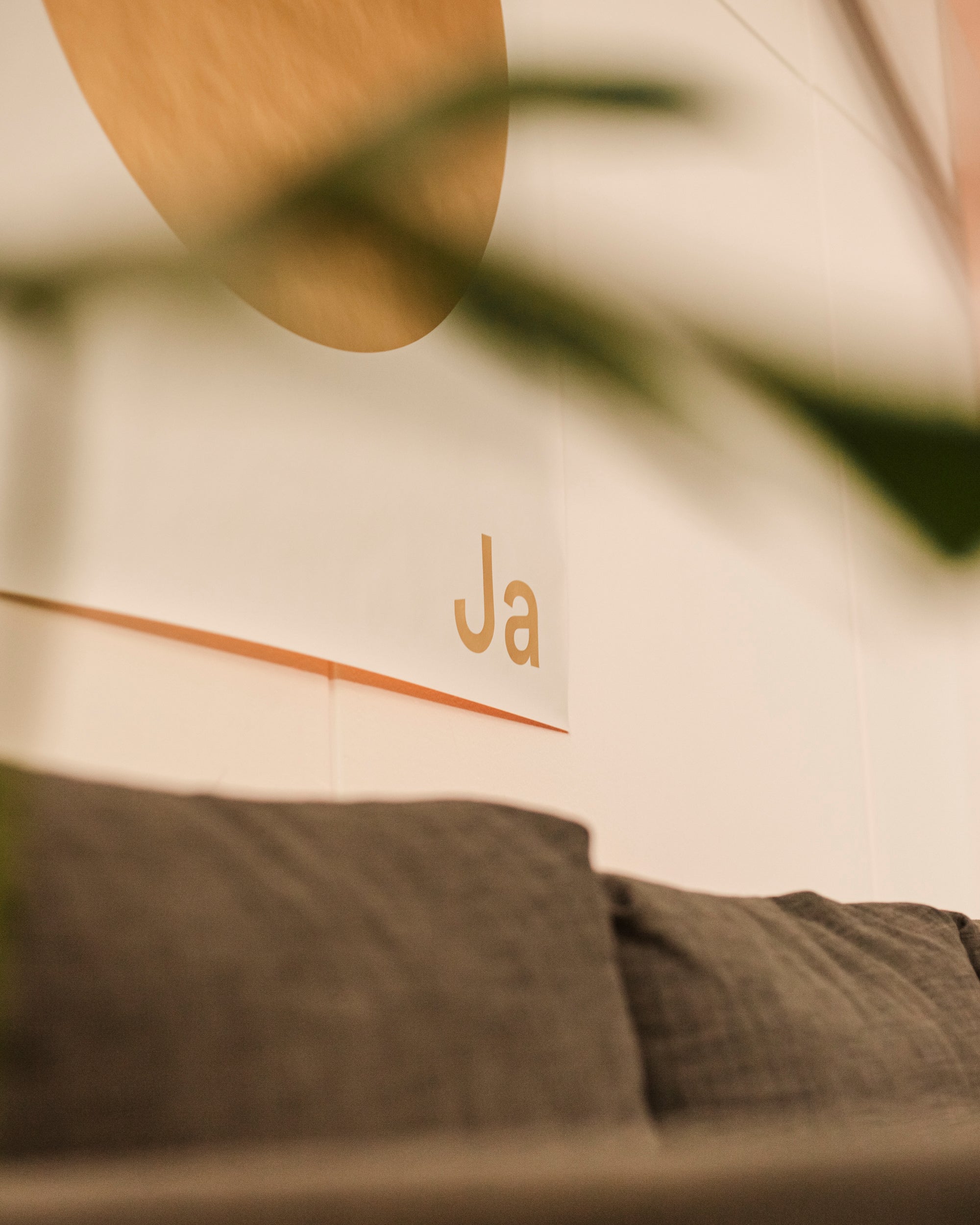 Original Plakat Ja Oui Si displayed on a wall above a grey couch with a decorative plant.