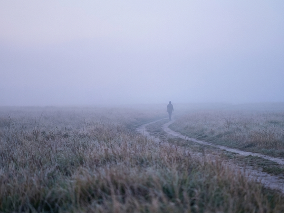Ein Mensch geht auf einem Feldweg in den Morgennebel