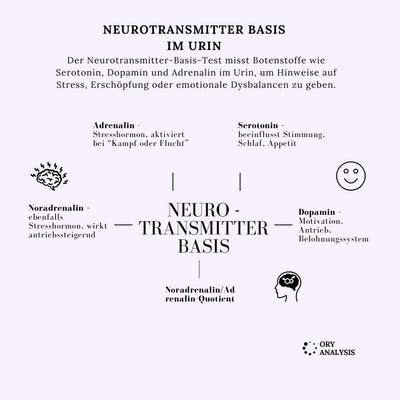 Neurotransmitter Basis
