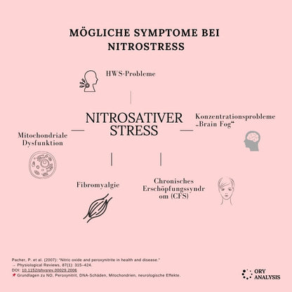 Nitrostress - Nitrosativer Stress