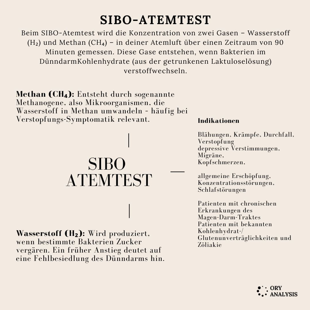 SIBO Atemtest