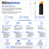 Nitrostress - Nitrosativer Stress – Abbildung 2 von 4