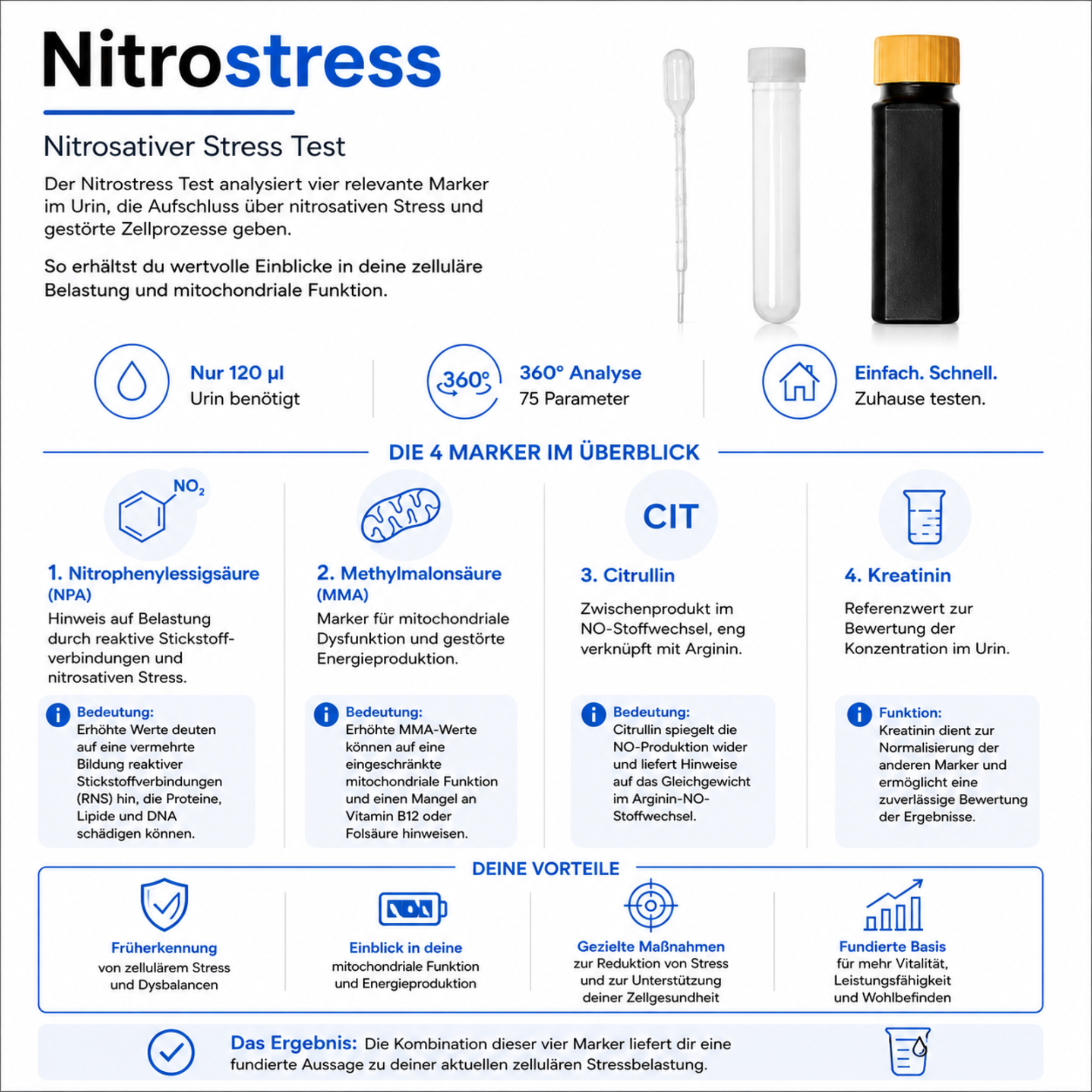 Nitrostress - Nitrosativer Stress