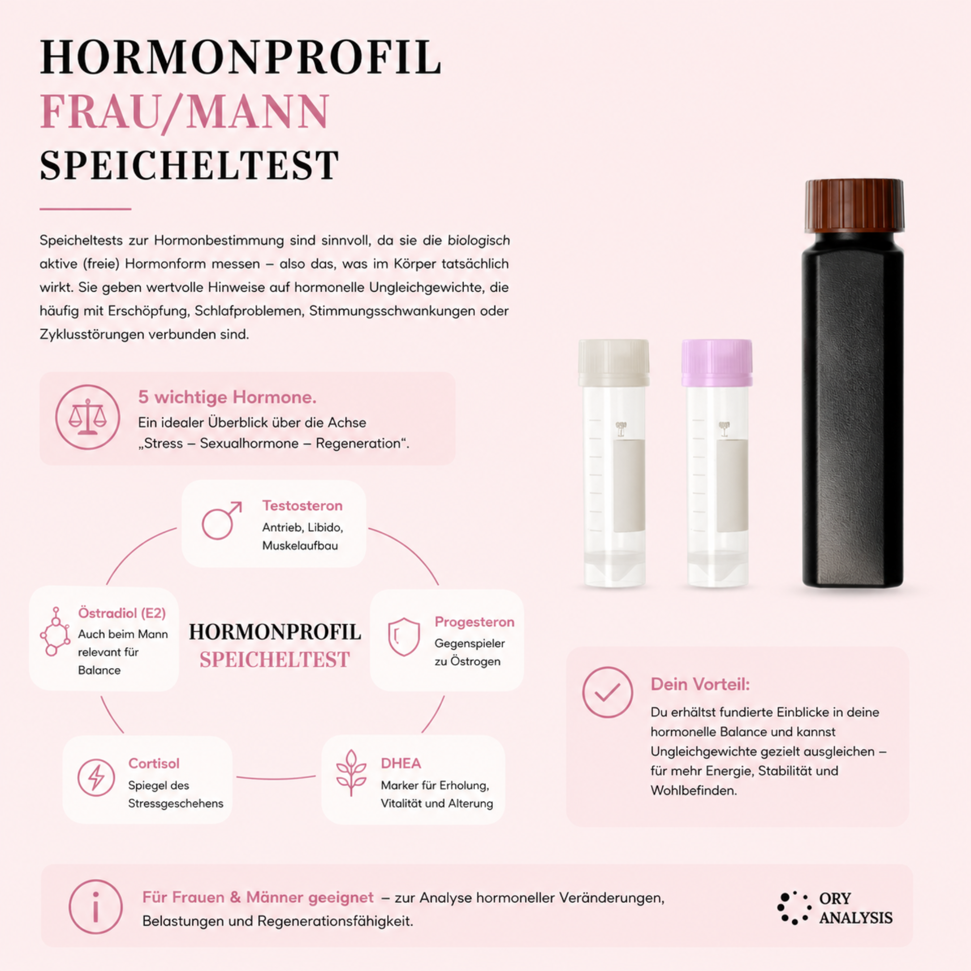 Mann Hormonprofil Test