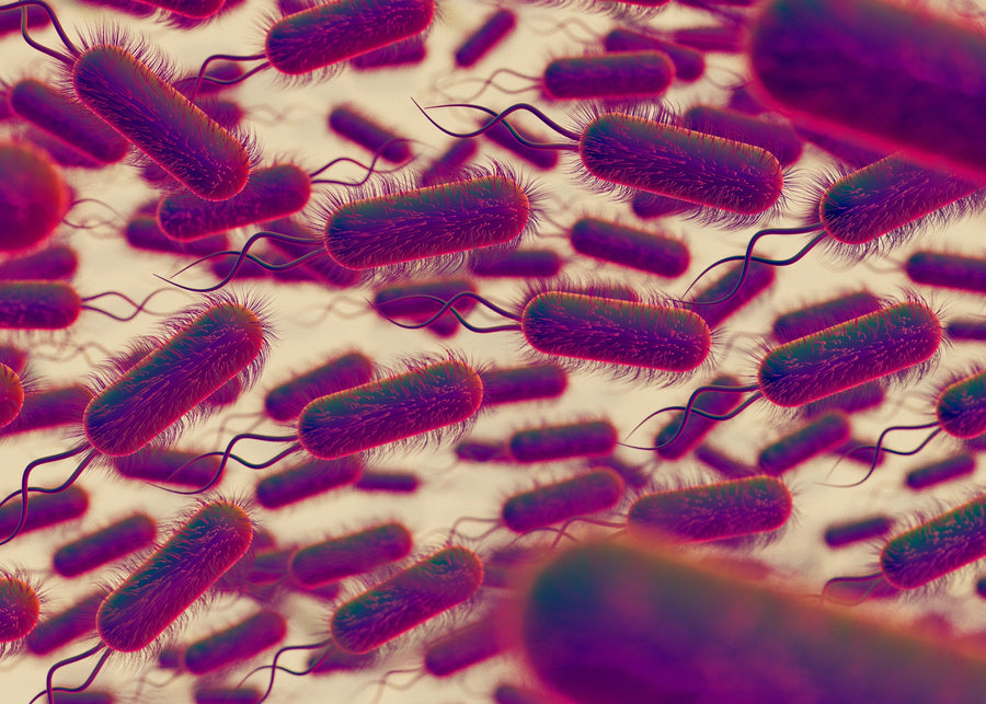 Parasites: A Globally Underestimated Risk