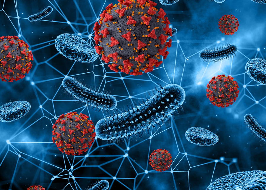 Why a microbiome test is so valuable?