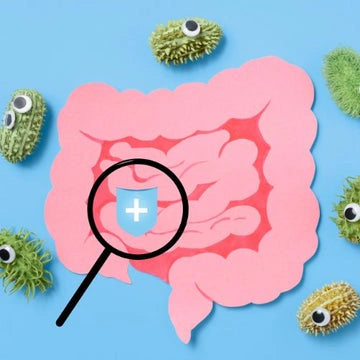 Mikrobiomanalyse von ORY –
