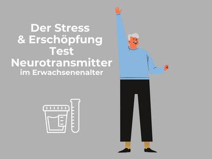 Stress- & Erschöpfungs-Test