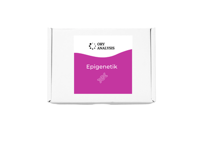 Epigenetik Stoffwechsel Test