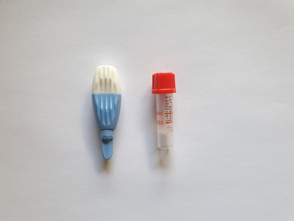 Ergänzende Vitamine Test