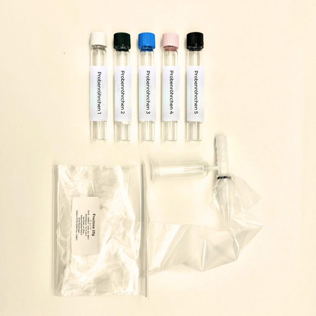 Fruktose-Malabsorption Test