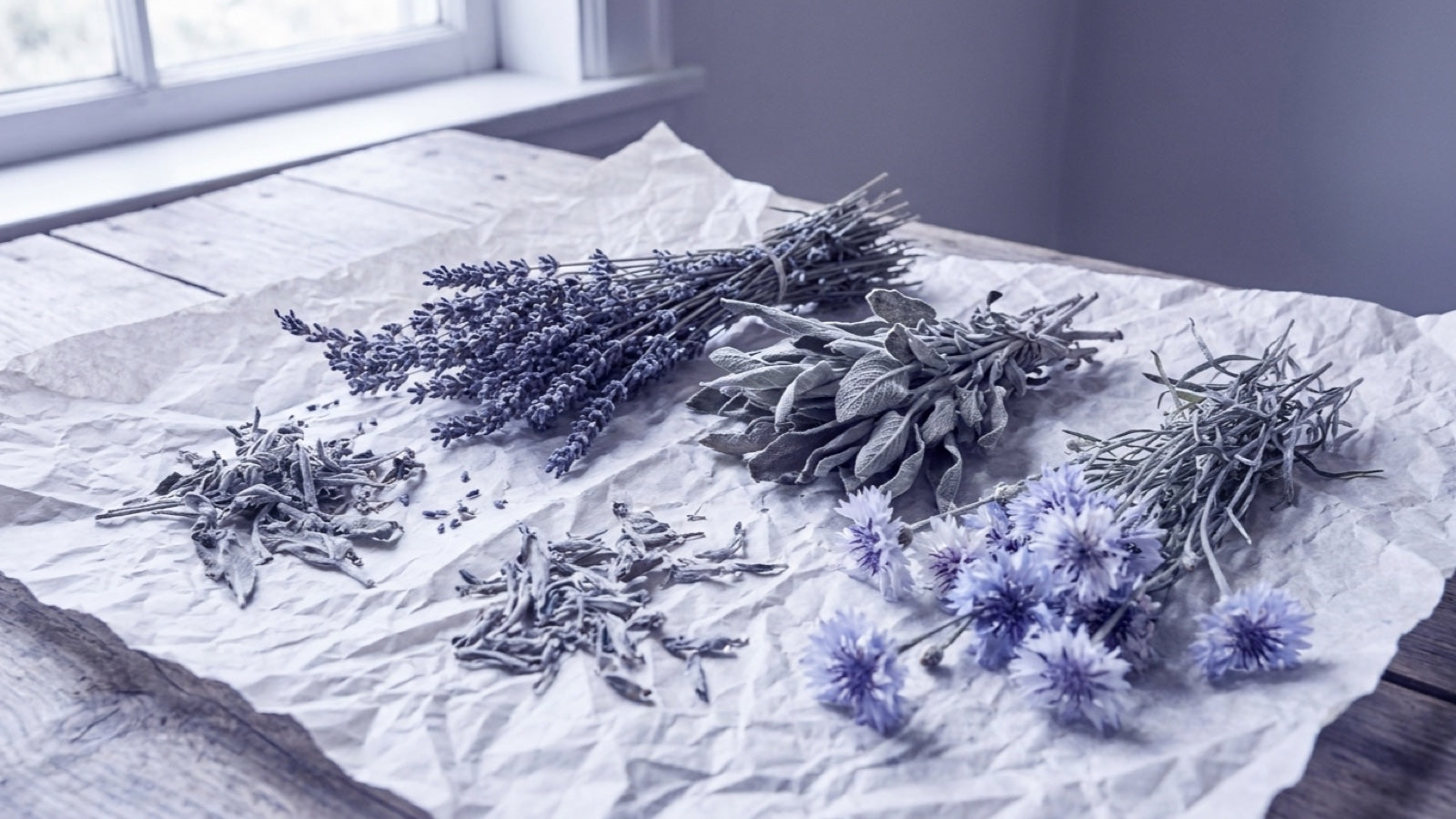 Dried herbs on paper: lavender, sage, rosemary and cornflowers on a wooden table by the window